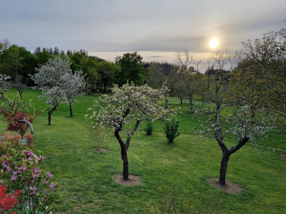 Casa Pro Pantea Villa Монфорте де Лемос Екстериор снимка